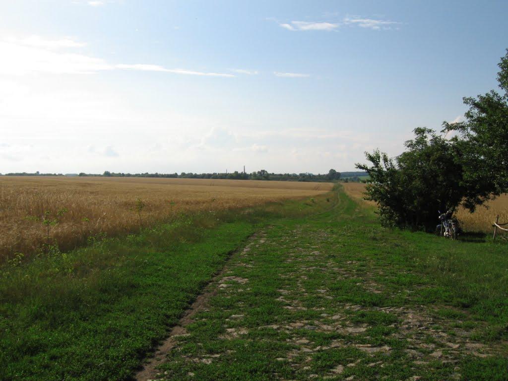 Сорокотяга з panoramio.com - Сорокотяга