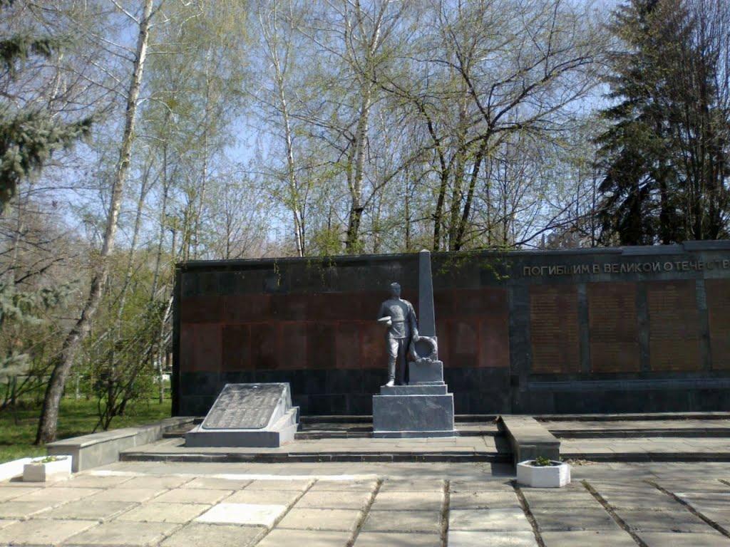 Новгородське з panoramio.com - Новгородське