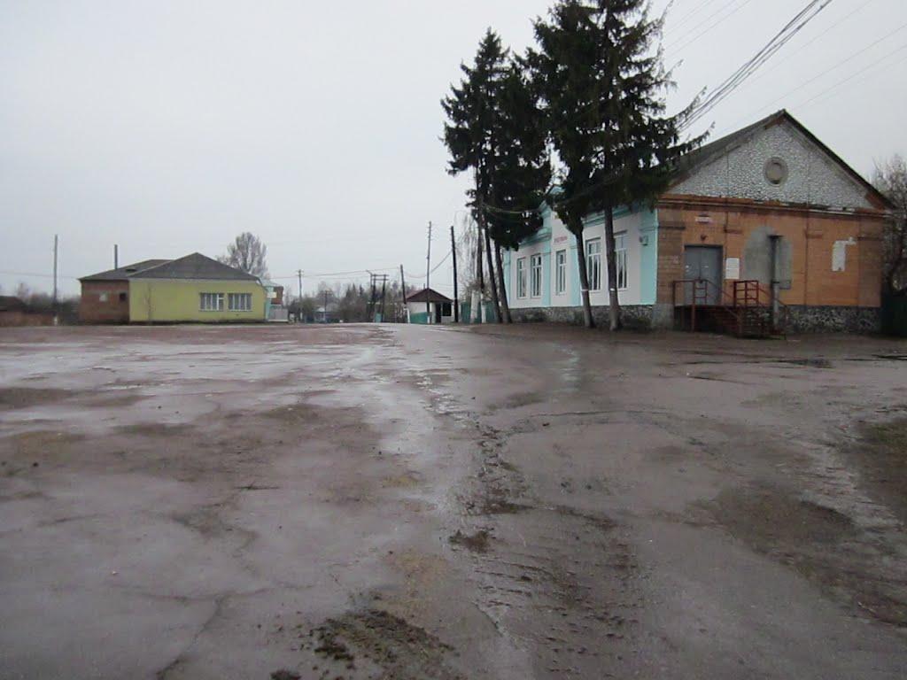 Нові Млини з panoramio.com - Новые Млины