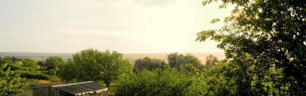 Павлівка з panoramio.com - Павловка