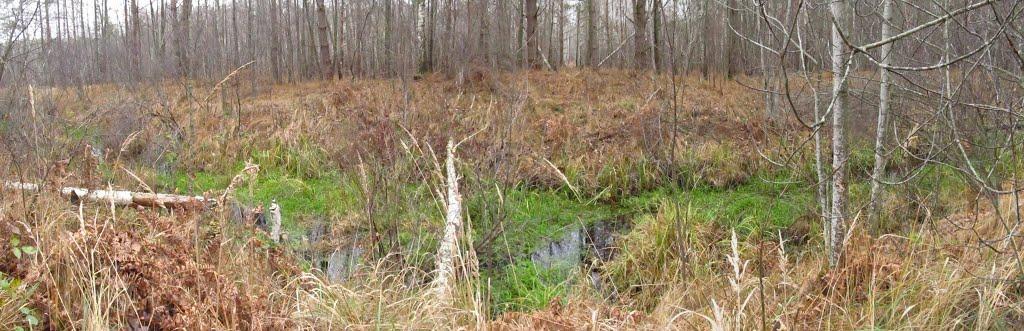 Паранине з panoramio.com - Паранино