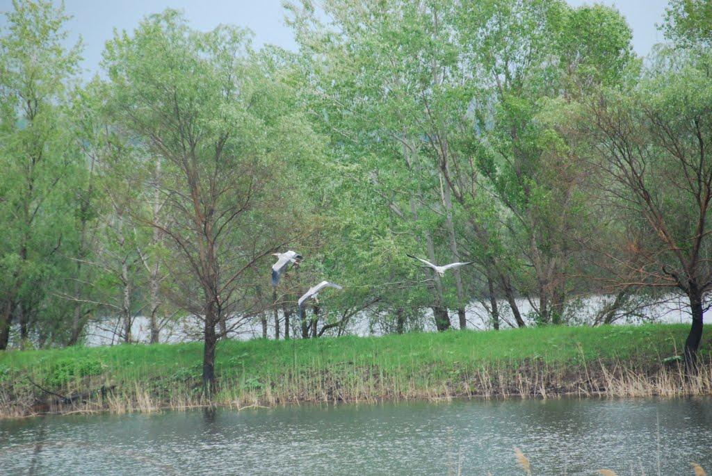 Кіровськ з panoramio.com - Кіровськ