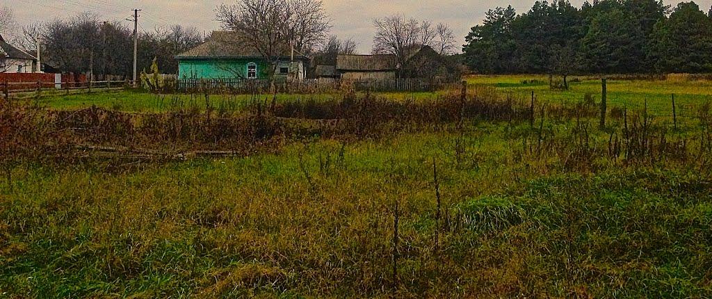 Дитятки з panoramio.com - Дитятки