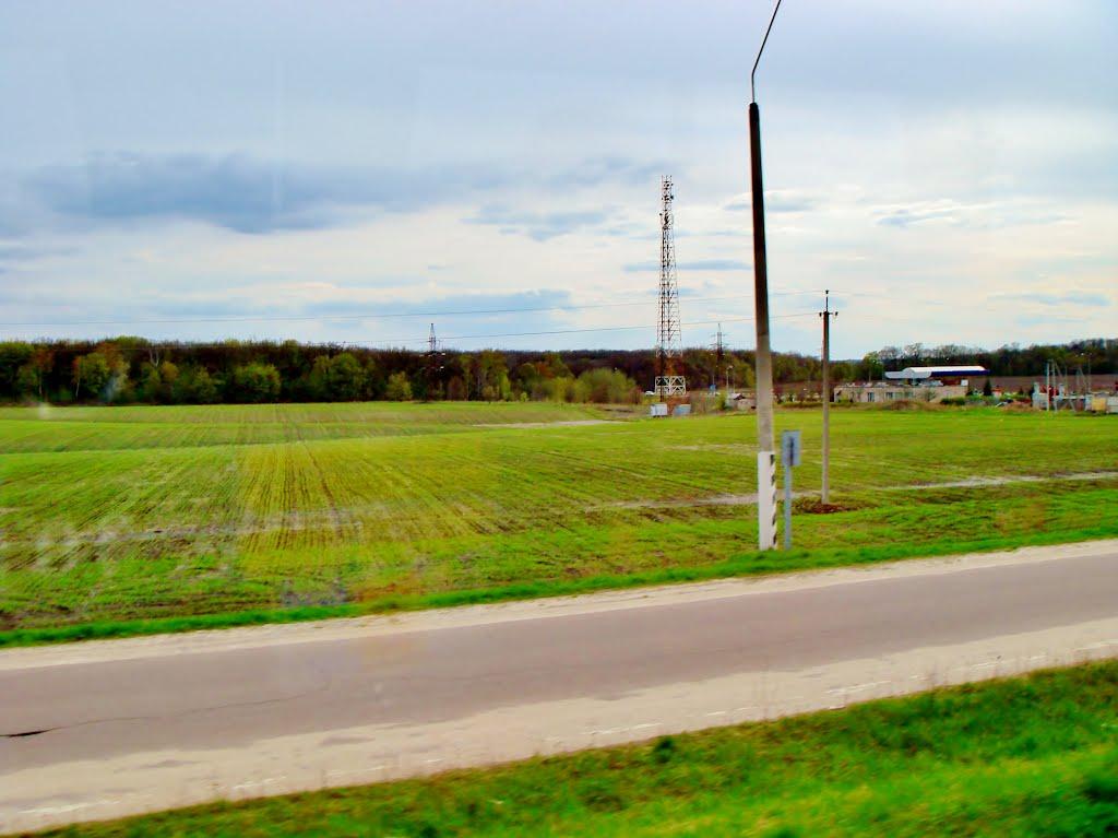 Черкас з panoramio.com - Черкас