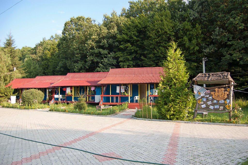 Виноградів з panoramio.com - Виноградов