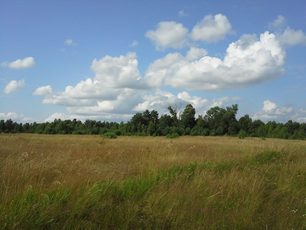 Вирка з panoramio.com - Вырка