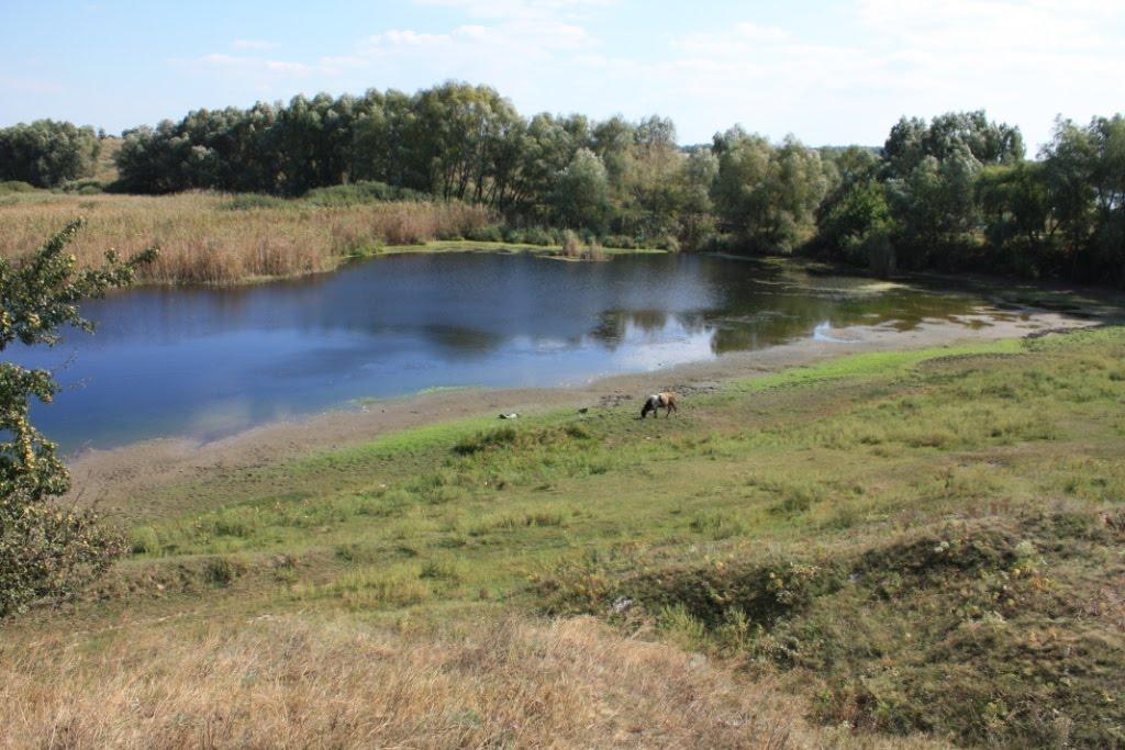 Малі Канівці з panoramio.com - Малі Канівці