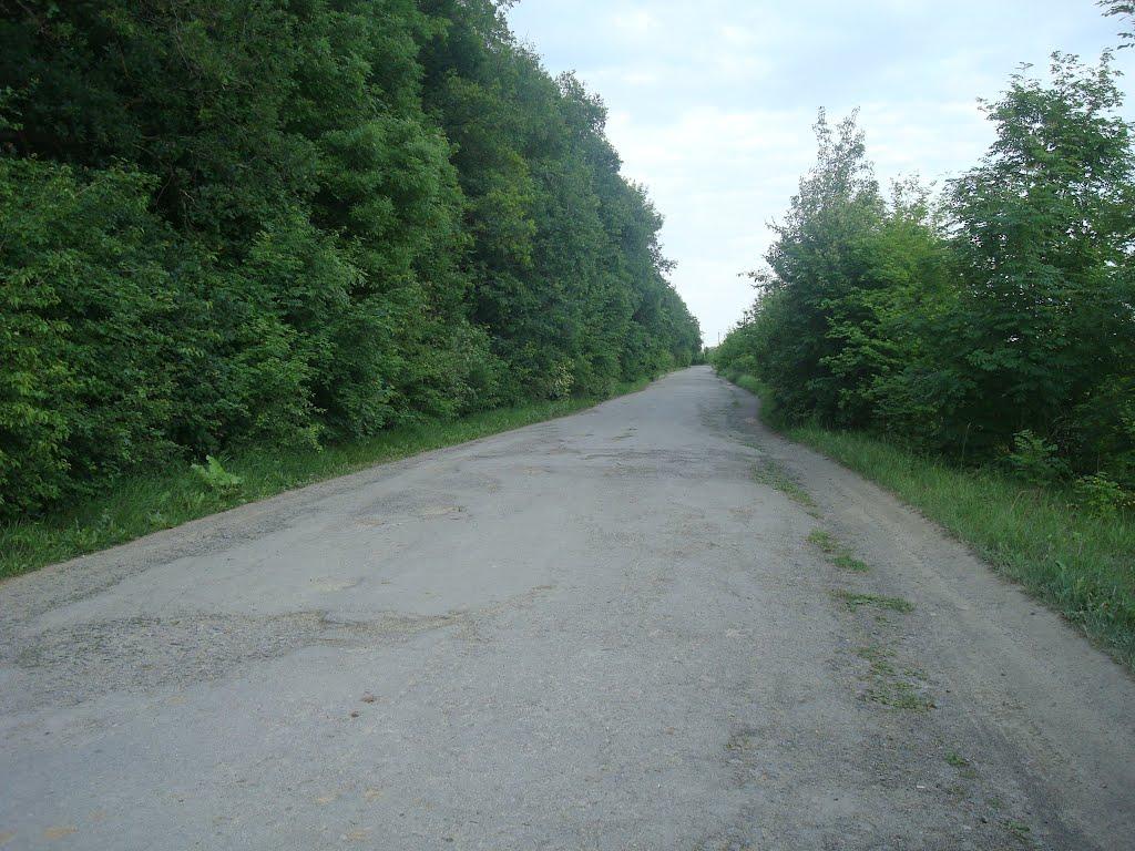 Ставчани з panoramio.com - Ставчаны