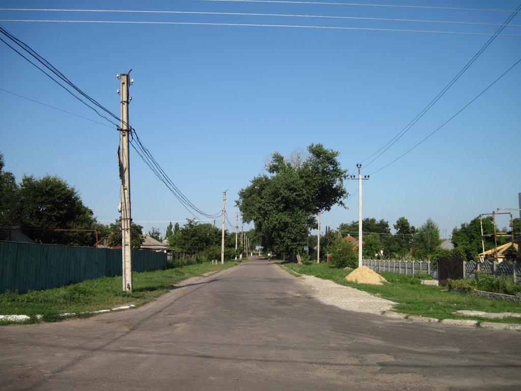 Протопопівка з panoramio.com - Протопопівка