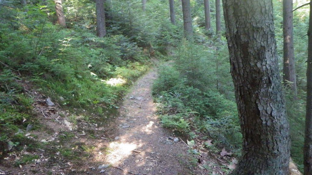 Поташня з panoramio.com - Поташня