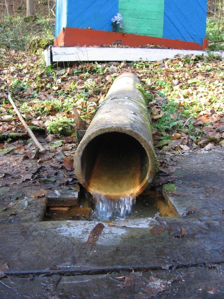 Вакалівщина з panoramio.com - Вакаловщина