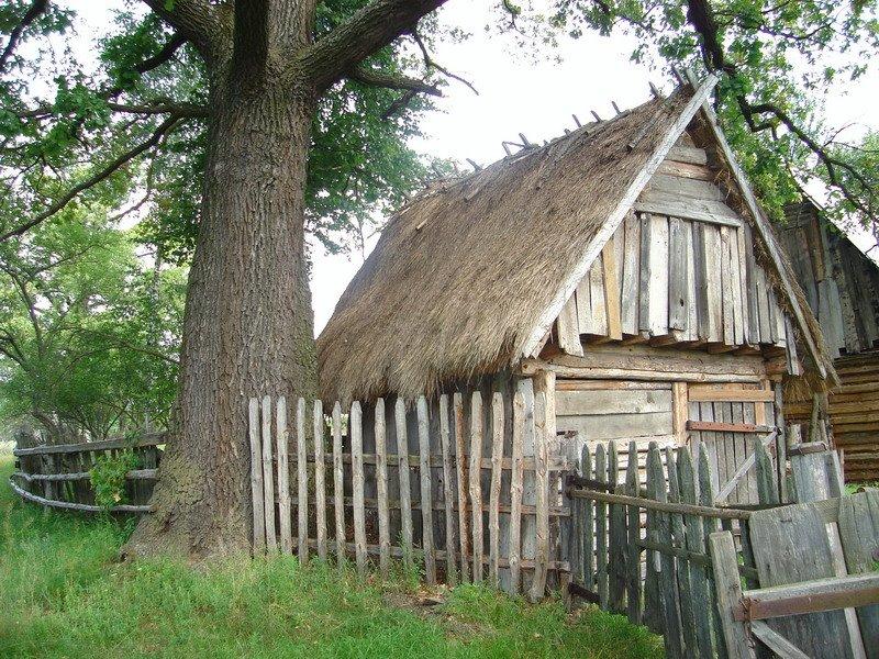 Крупчатка з panoramio.com - Крупчатка