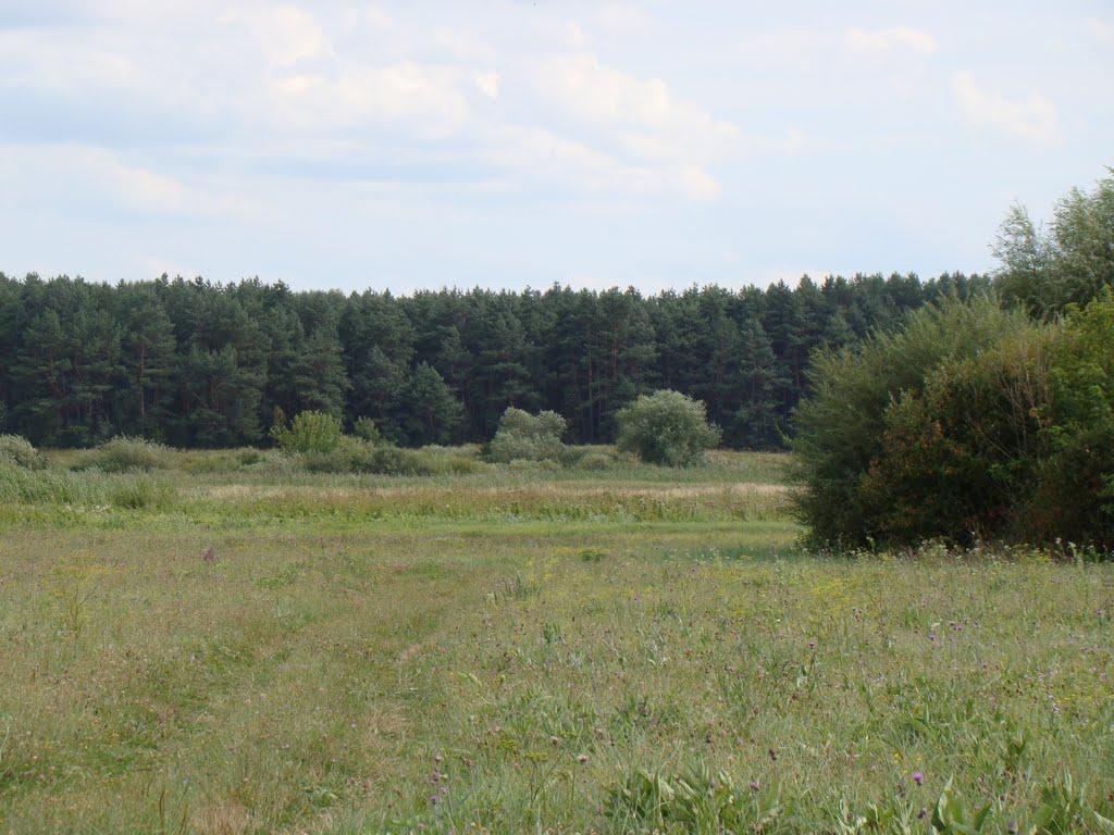 Довжик з panoramio.com - Довжик