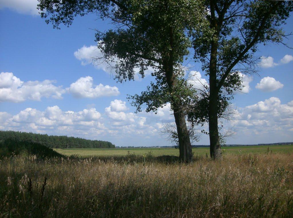 Лемешівка з panoramio.com - Лемешовка