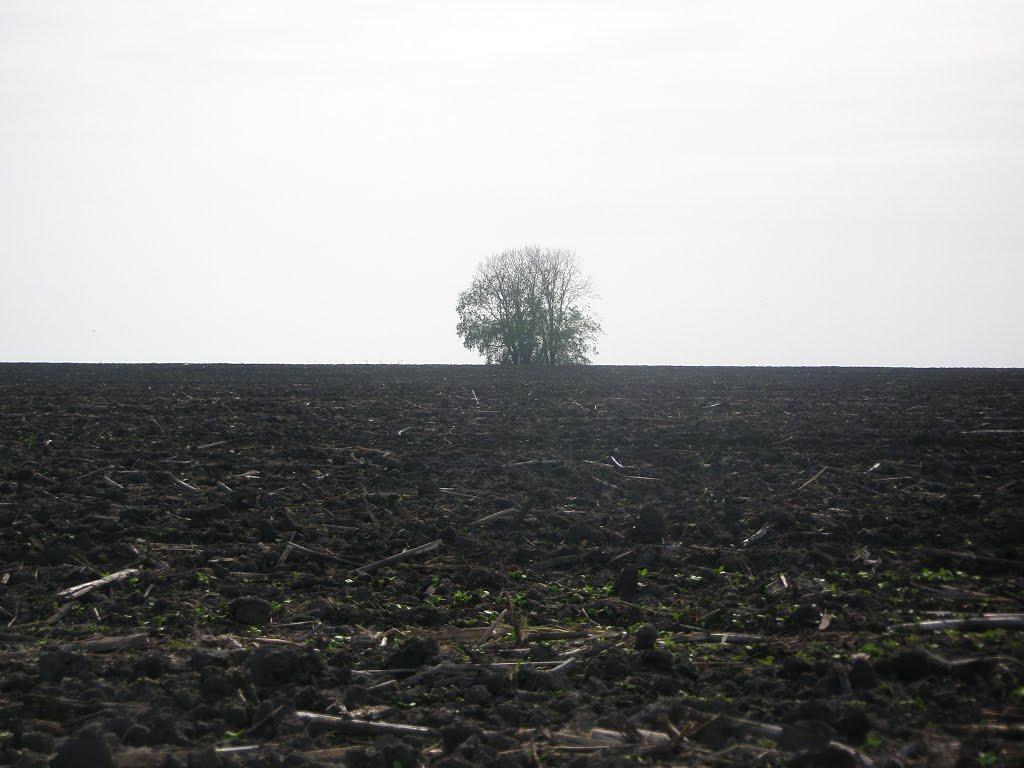 Іванівка з panoramio.com - Ивановка