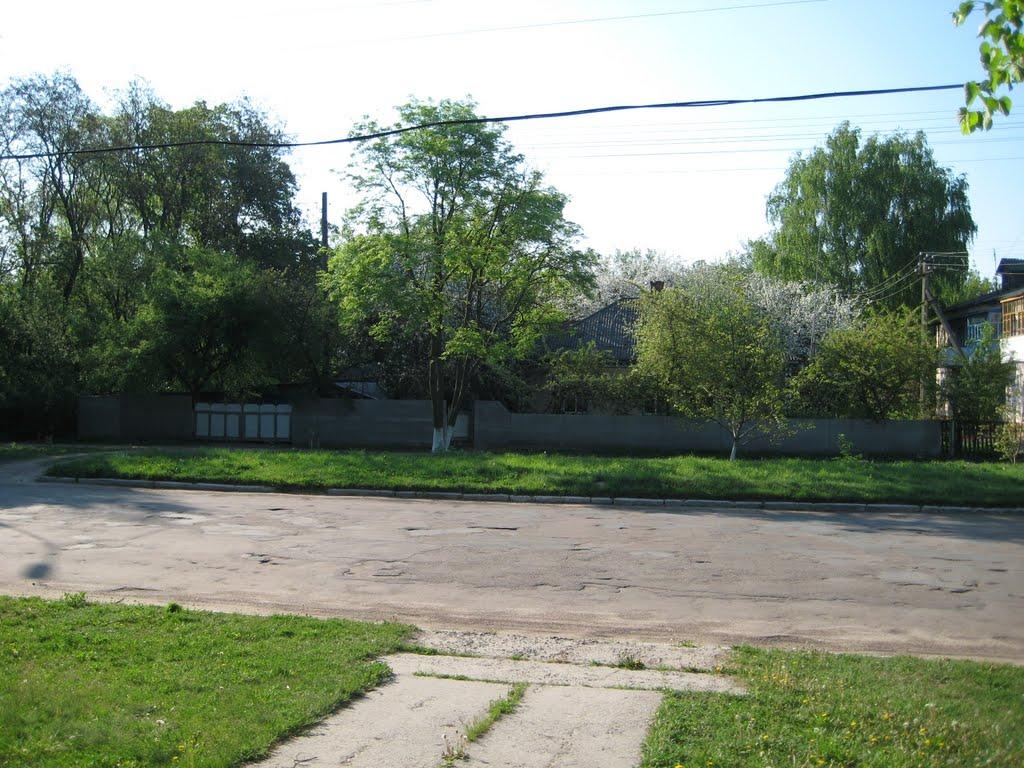 Срібне з panoramio.com - Сребное