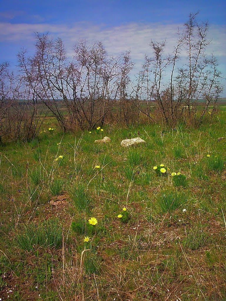 Приятне Свідання з panoramio.com - Приятне Свідання