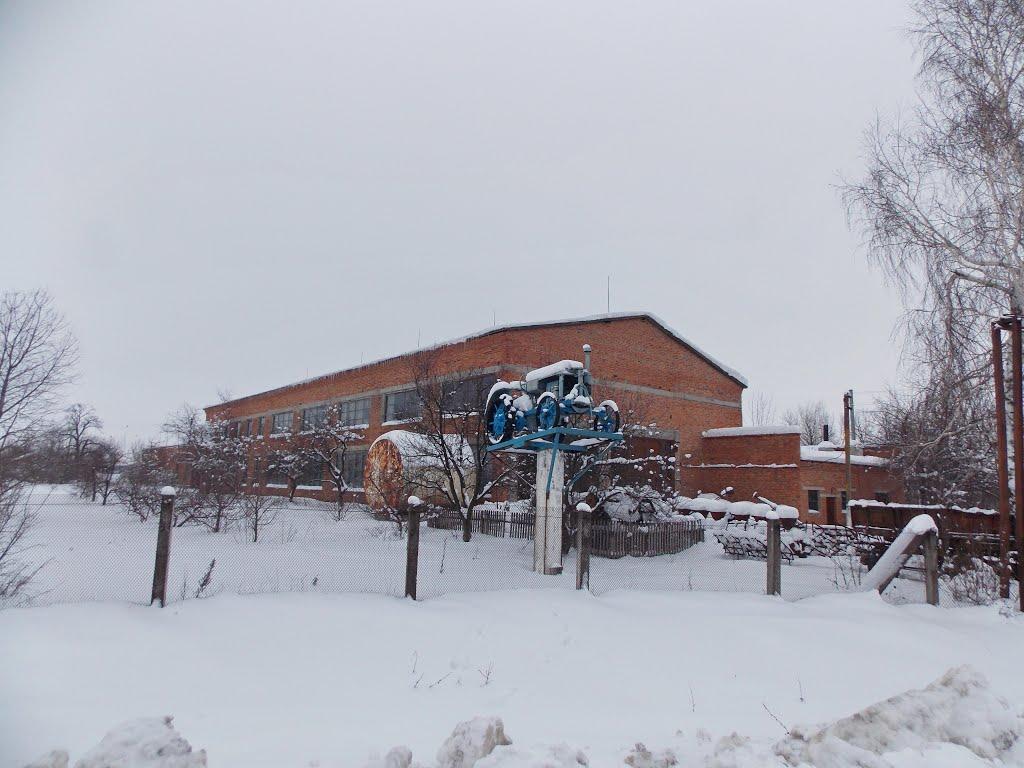 Степанівка з panoramio.com - Степанівка