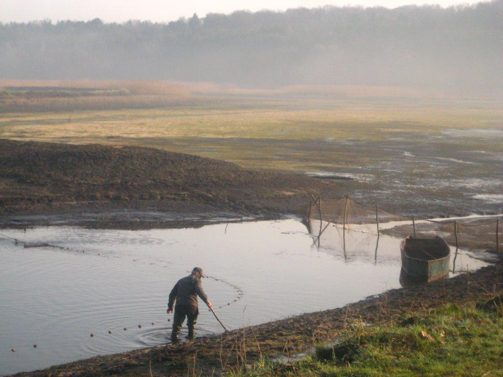 Лелехівка з panoramio.com - Лелеховка