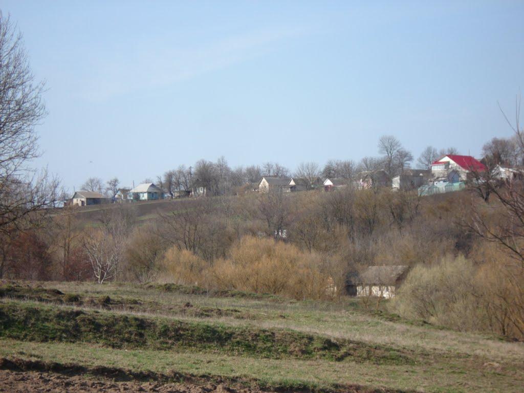 Сутківці з panoramio.com - Сутківці