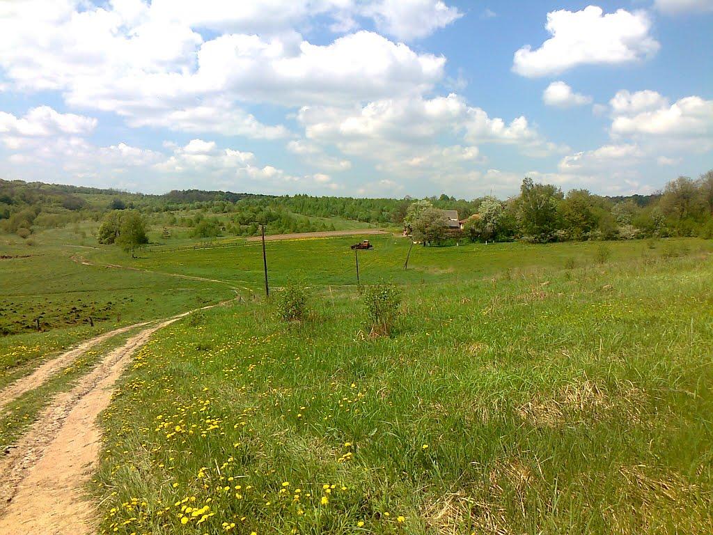 Лопушна з panoramio.com - Лопушна