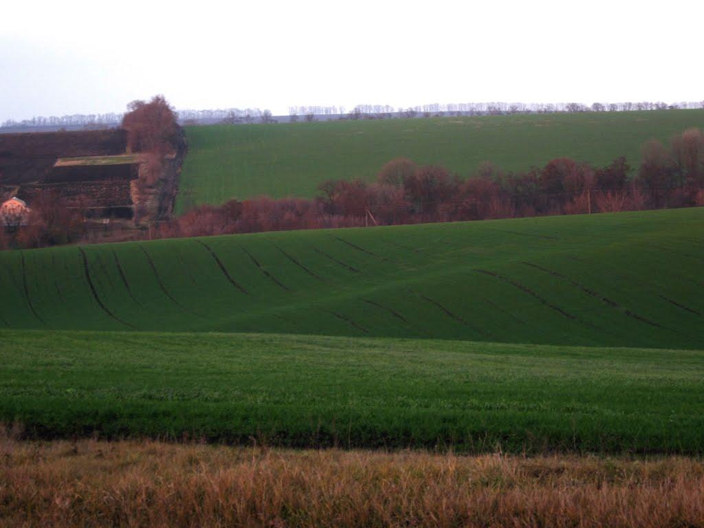 Довжик з panoramio.com - Довжик