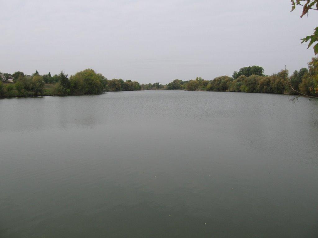 Сорокотяга з panoramio.com - Сорокотяга