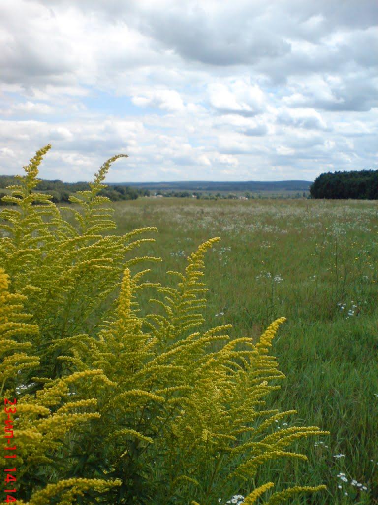 Червона Зірка з panoramio.com - Chervona Zirka