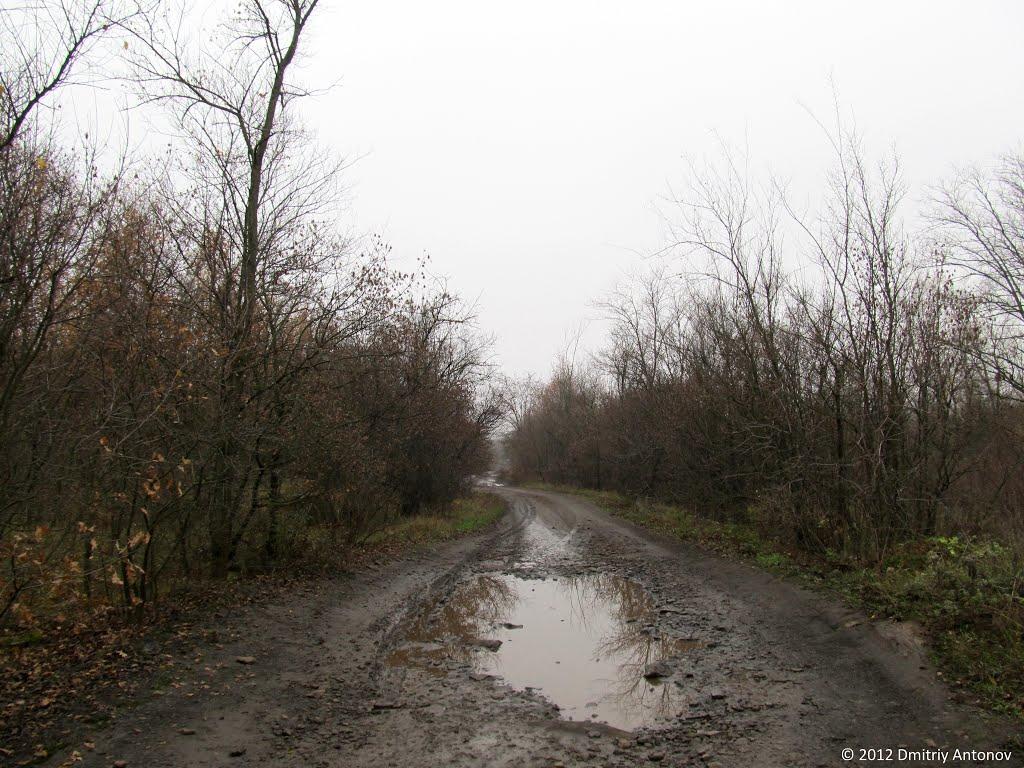 Глеюватка з panoramio.com - Gleyuvatka
