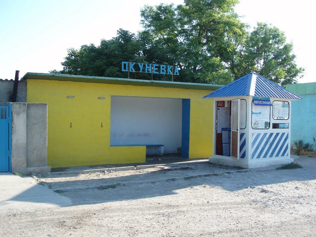 Окунівка з panoramio.com - Окуневка
