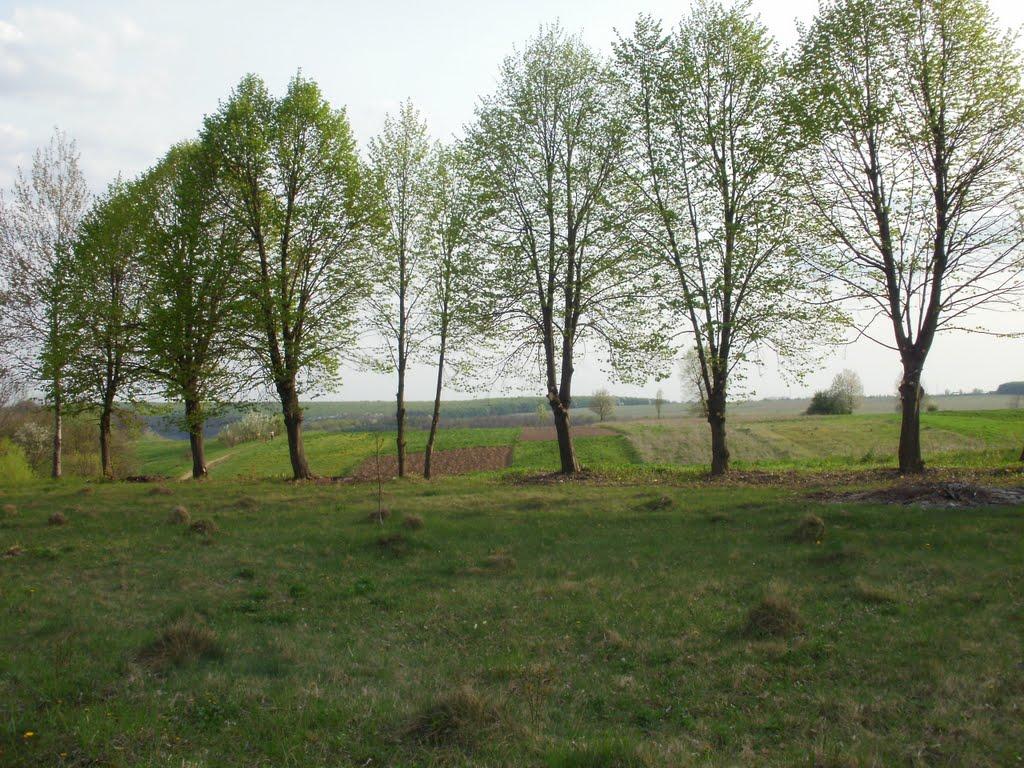 Любомирівка з panoramio.com - Любомирівка