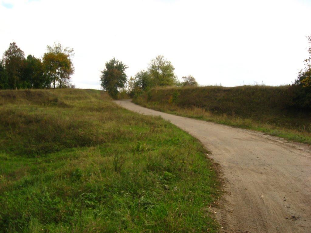 Малі Канівці з panoramio.com - Малі Канівці