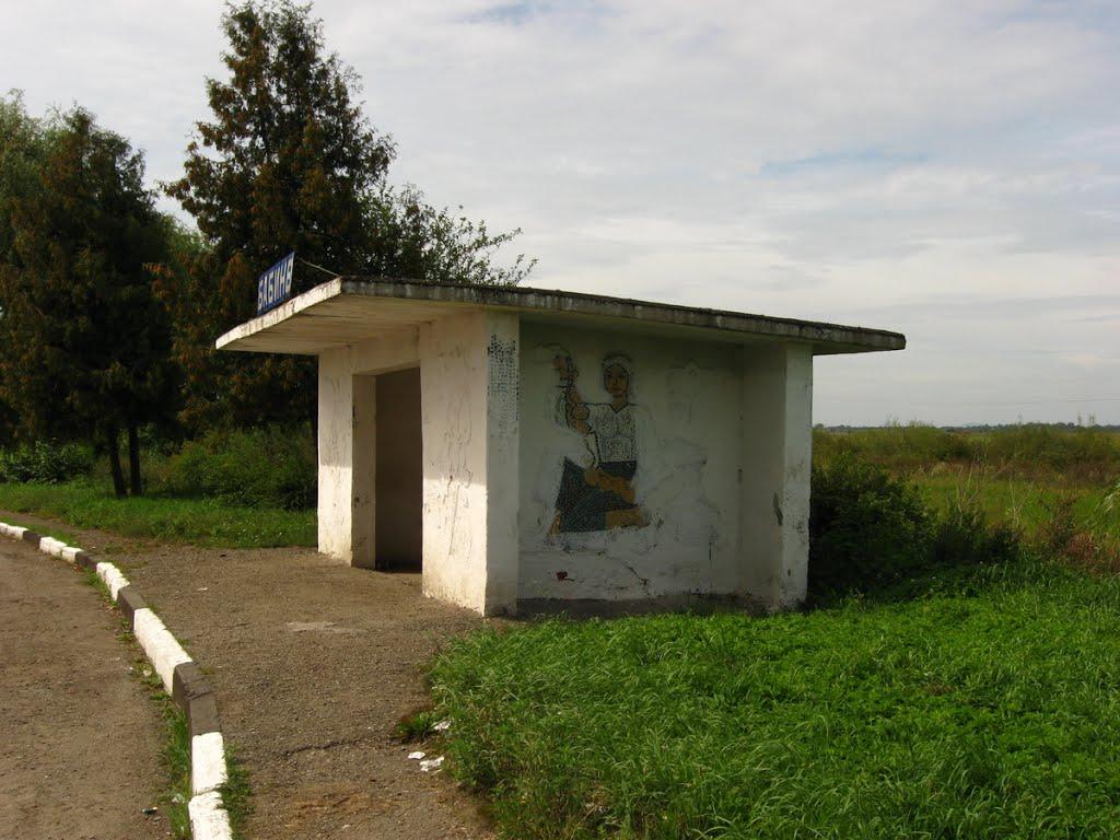 Бабина з panoramio.com - Babyna