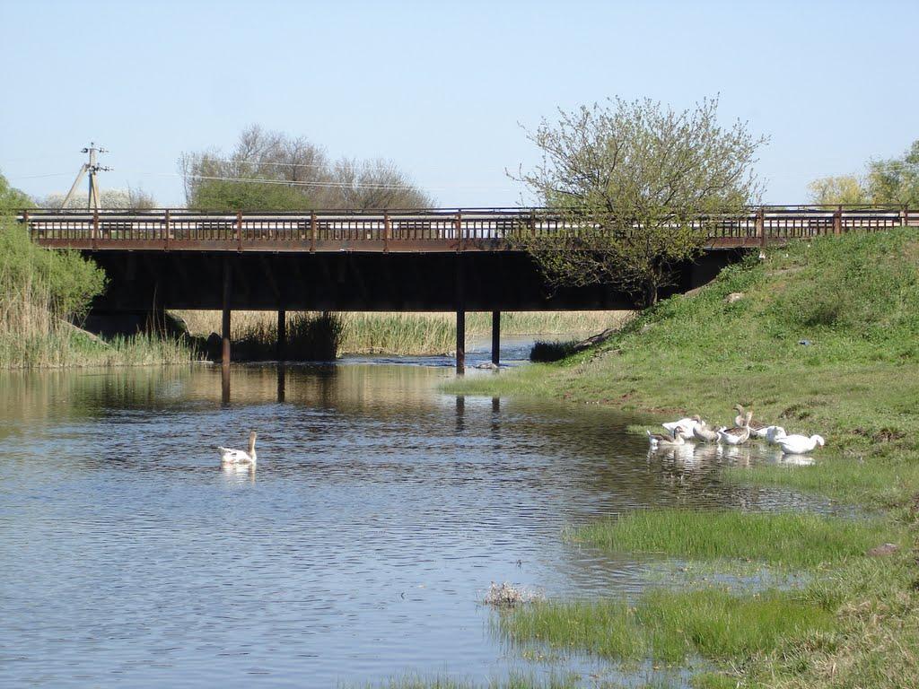 Роздольне з panoramio.com - Роздольное