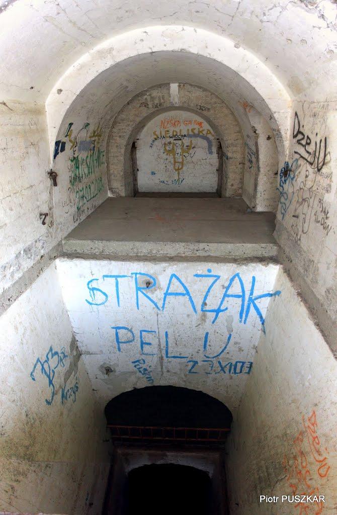 Циків з panoramio.com - Цыков
