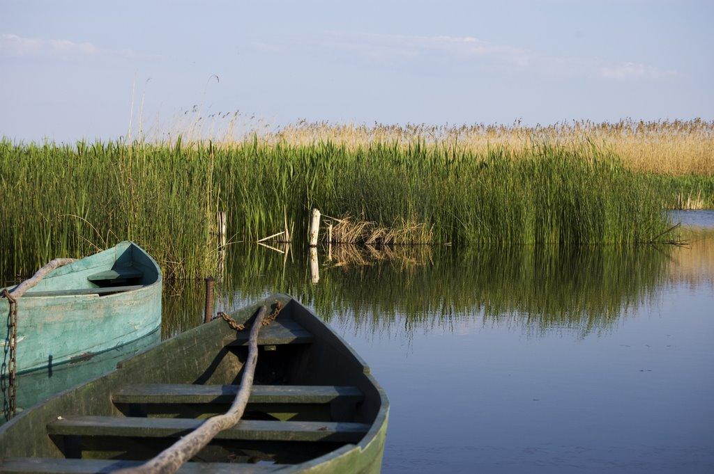 Руденківка з panoramio.com - Руденківка