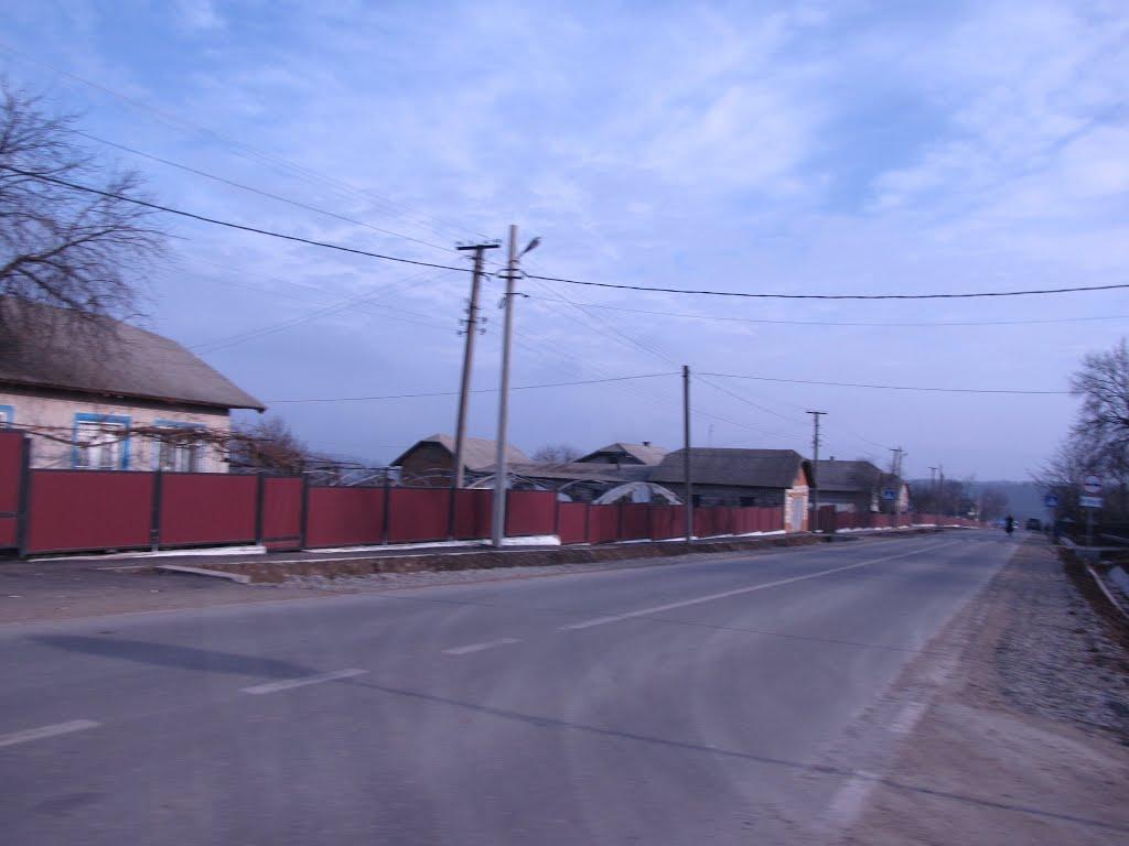 Синьків з panoramio.com - Синьків