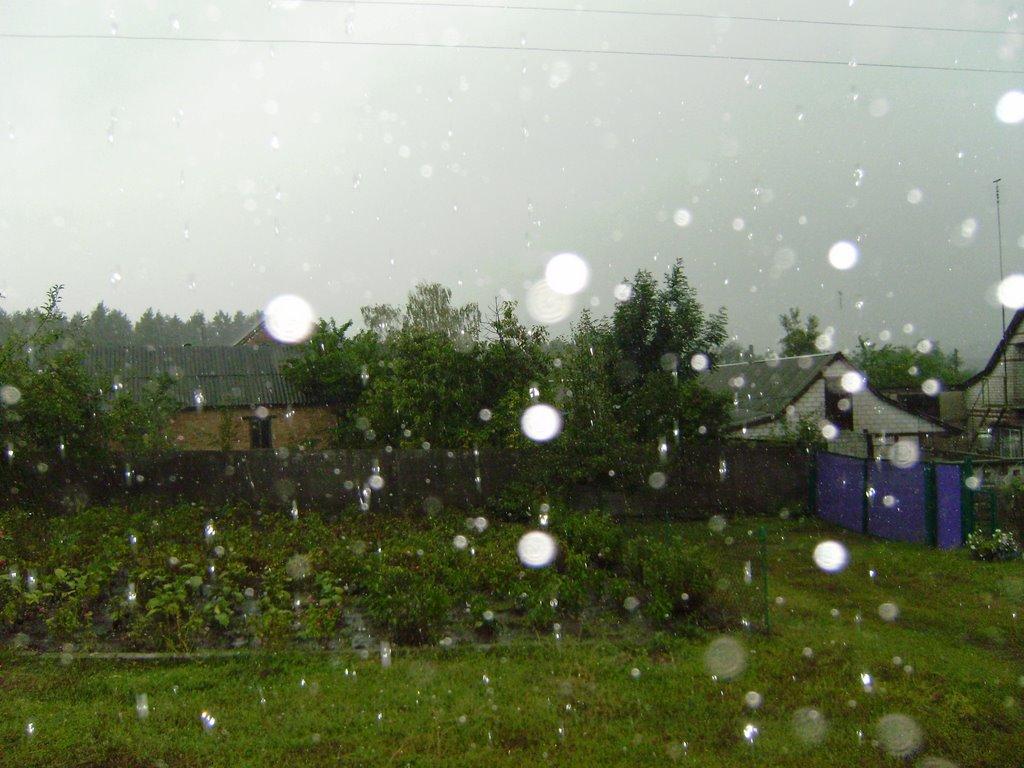 Нові Санжари з panoramio.com - Нові Санжари