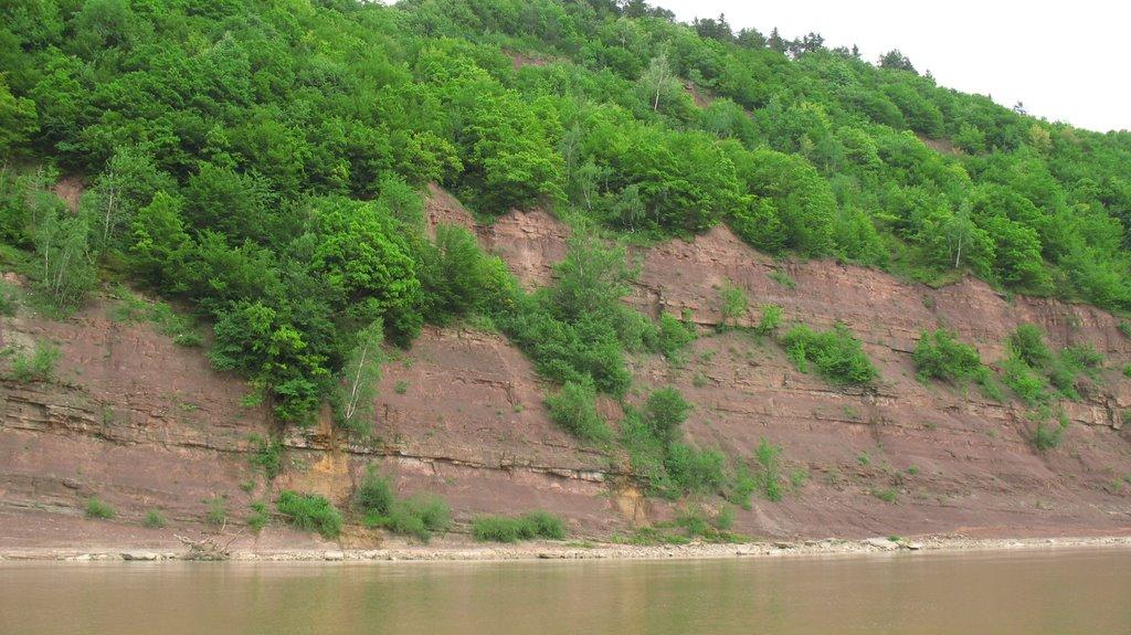 Вістря з panoramio.com - Вистря