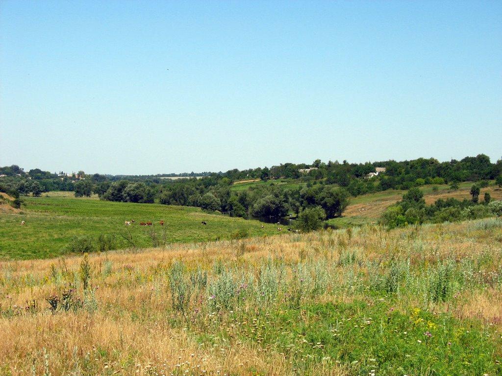 Дубова з panoramio.com - Дубова