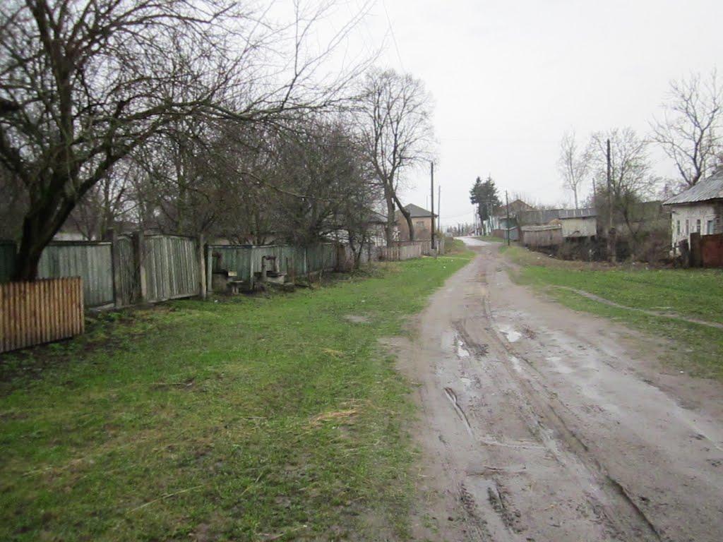 Нові Млини з panoramio.com - Новые Млины