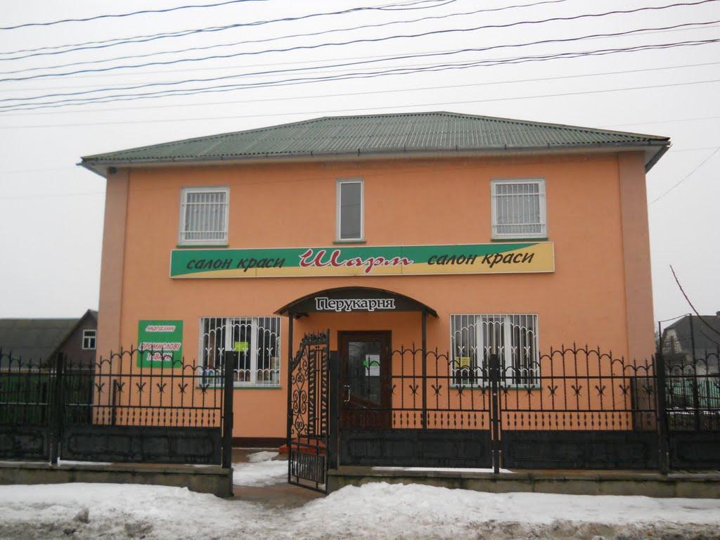 Шацьк з panoramio.com - Шацк