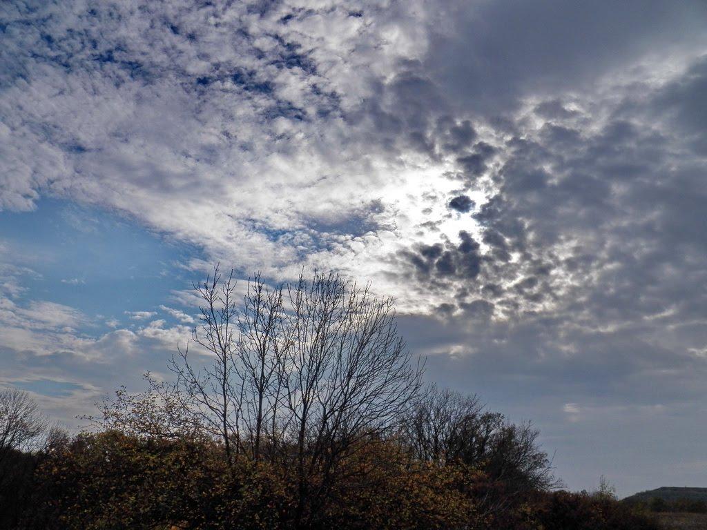 Олександрівське з panoramio.com - Олександрівське