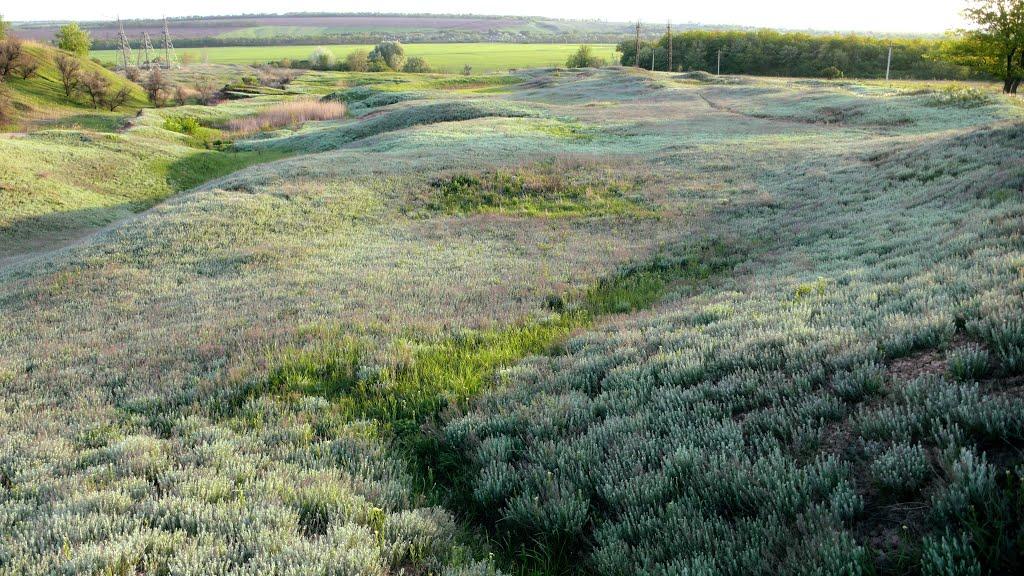 Дронівка з panoramio.com - Дронівка