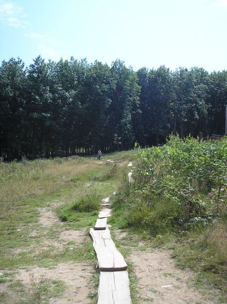 Поляна з panoramio.com - Поляна