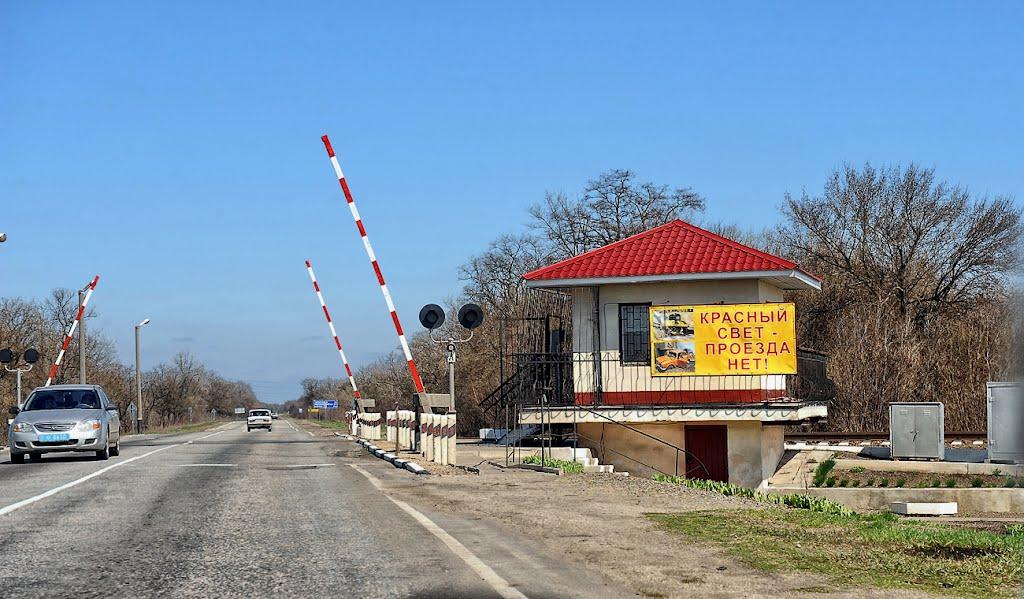 Новобогданівка з panoramio.com - Новобогданівка