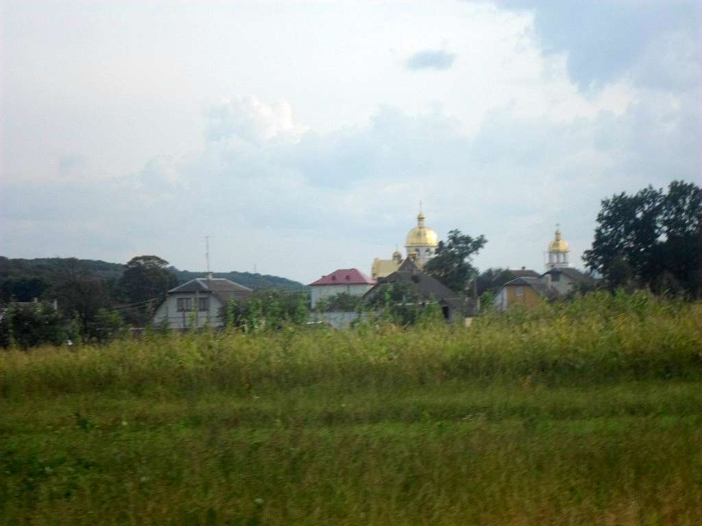 Краєвид - Лотатники