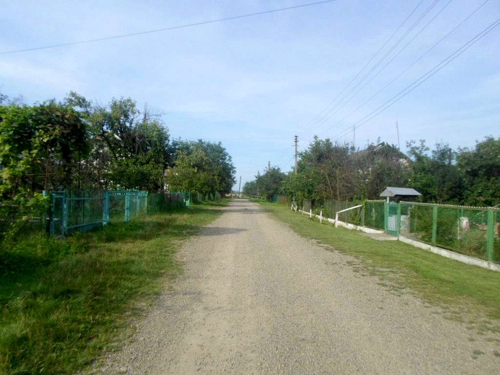 Краєвид - Лотатники