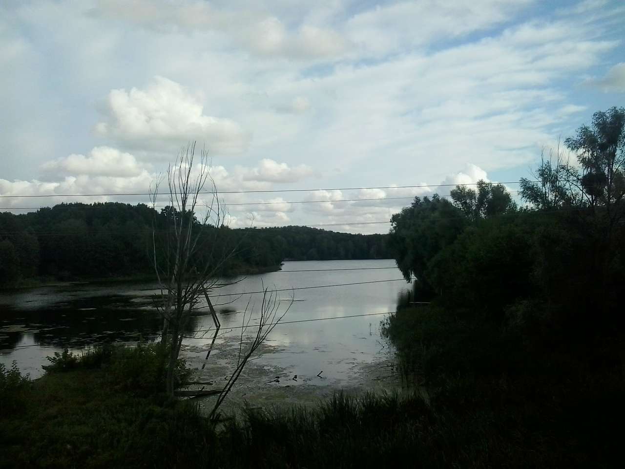 БІЛЯ ЧОРНОГО ОЗЕРА - Петрушки