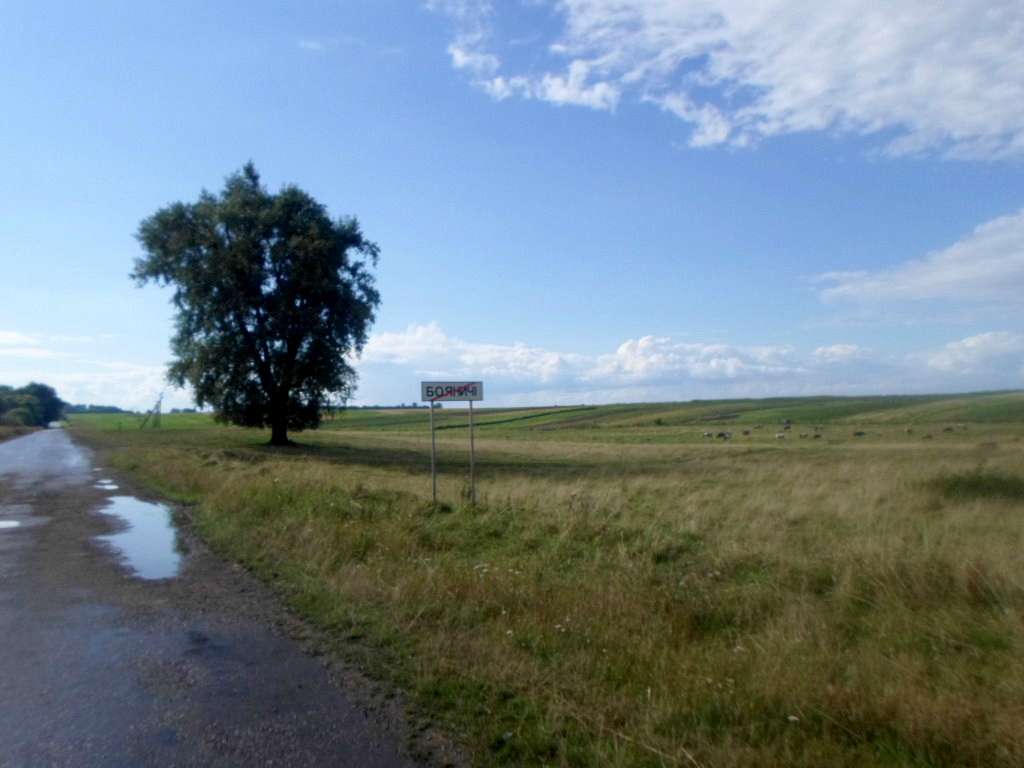 Краєвид - Бояничі